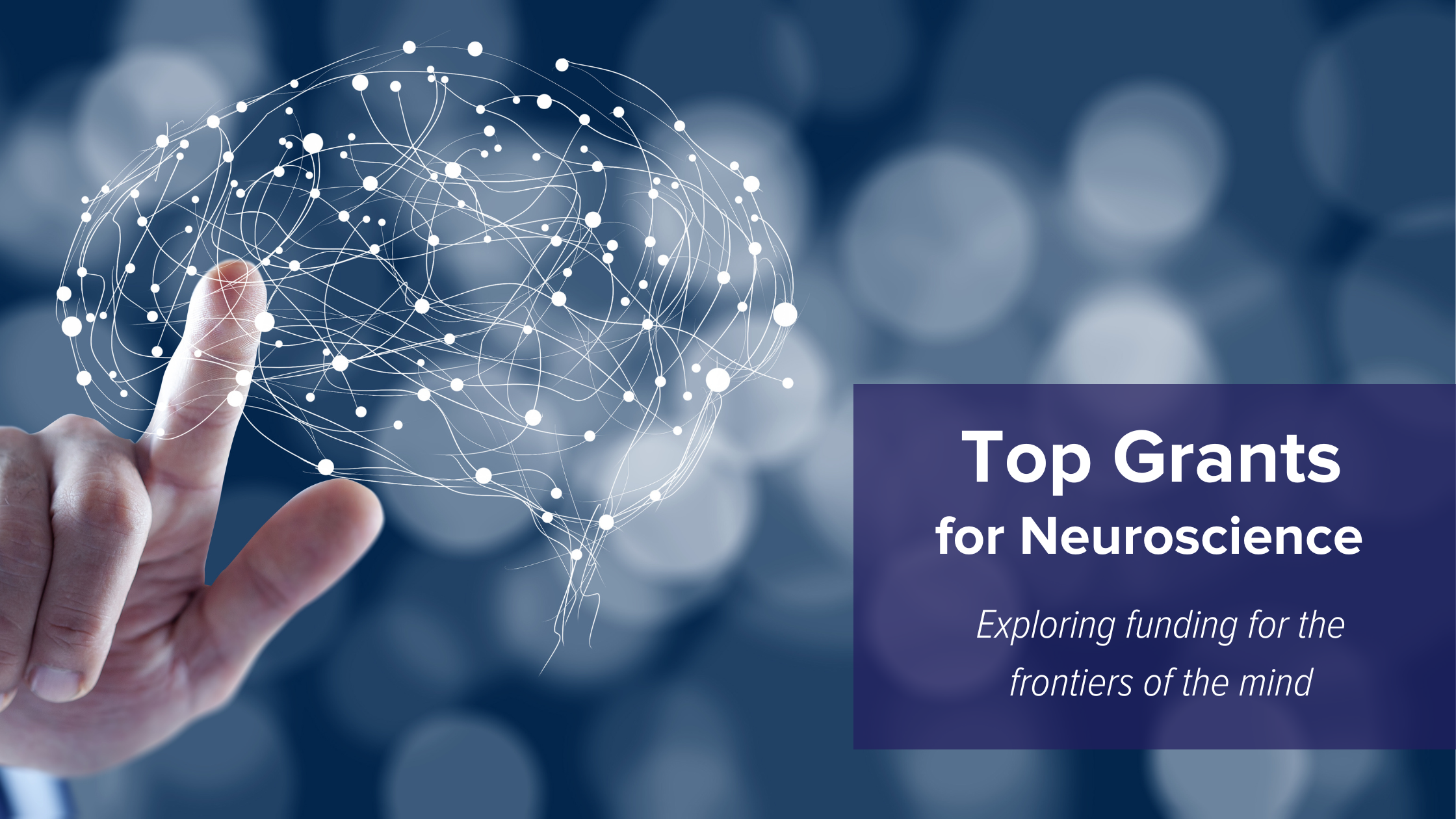 Top grants for neuroscience