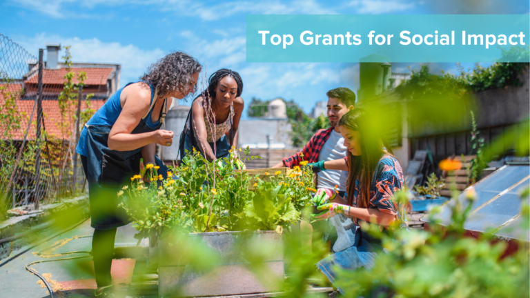 Top Grants for Social Impact